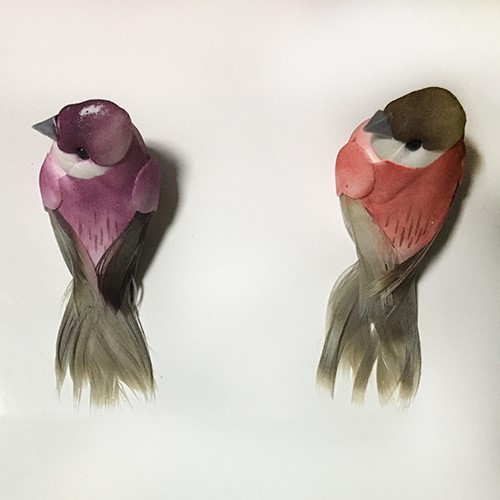 Comprar Pájaro de plumas artificiales, Pájaro de plumas artificiales Precios, Pájaro de plumas artificiales Marcas, Pájaro de plumas artificiales Fabricante, Pájaro de plumas artificiales Citas, Pájaro de plumas artificiales Empresa.