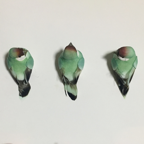 Models Artificial Foam Little Bird Decoration