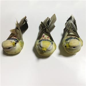 Oiseau Imitation Artificielle