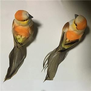 Пена Перо Птица