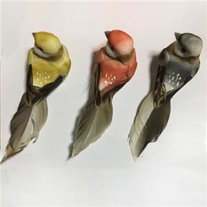 Imitation Plume Oiseau