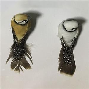 Uccelli colorati della decorazione