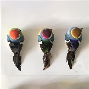 Украшение комнаты пернатой птицей