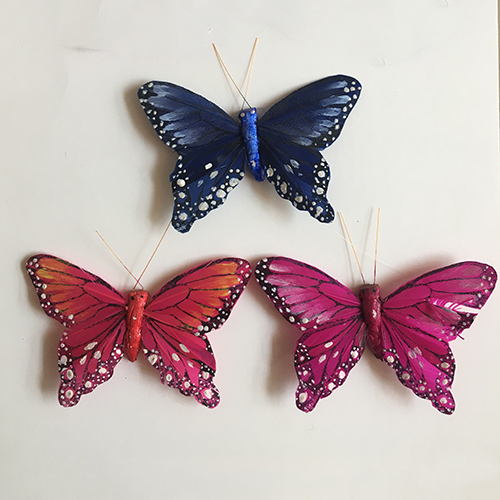 White Spot Feather Butterfly