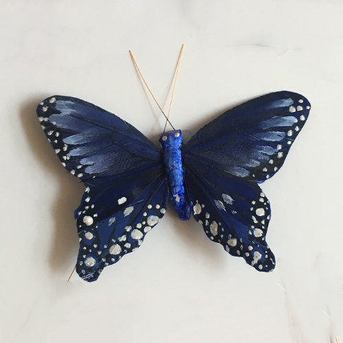 White Spot Feather Butterfly