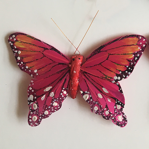 White Spot Feather Butterfly