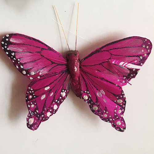 White Spot Feather Butterfly