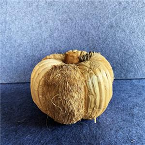 Decorative Pumpkin