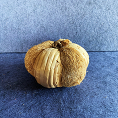 Zucca della decorazione di Halloween dei mestieri naturali