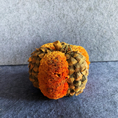 Natural Materials Pumpkin