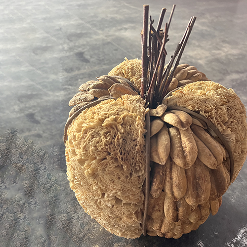 Natural Plant Decoration Pumpkin