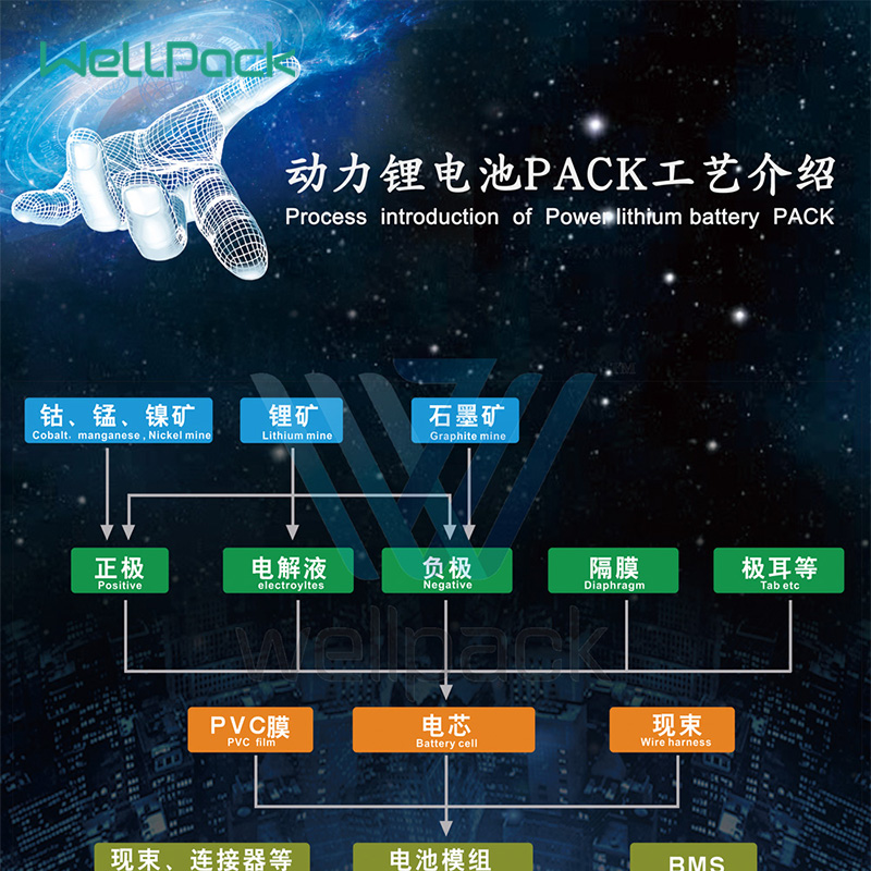 Lithium Ferro Phosphate Battery Cell