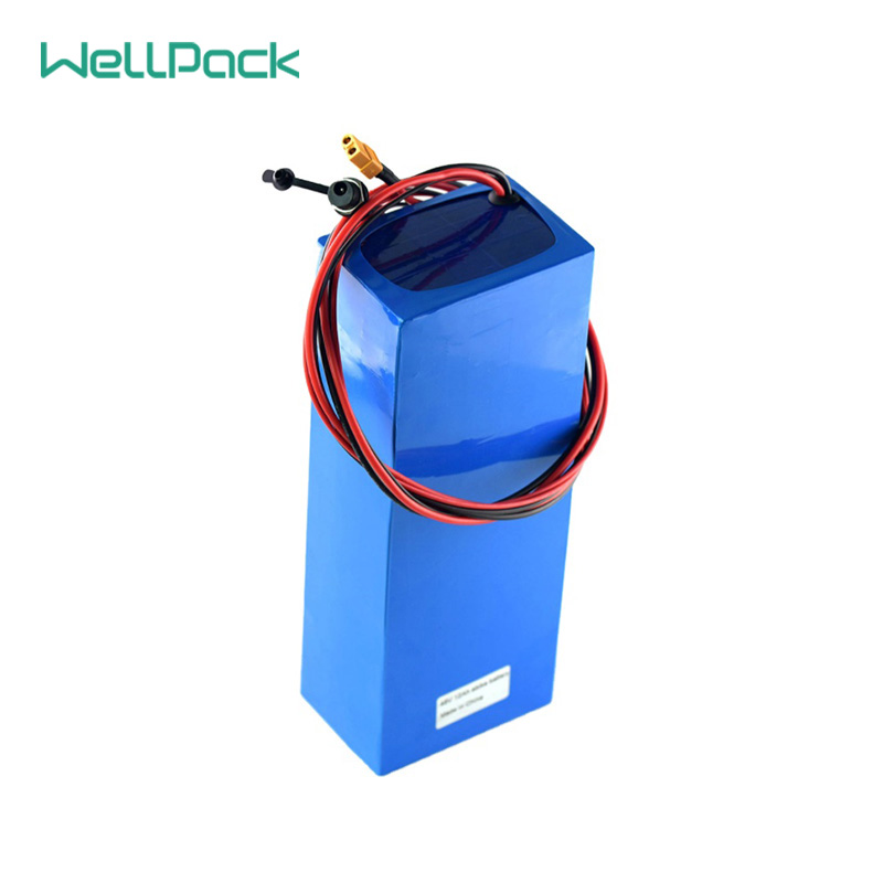 Hot Sale customized 24v 10ah lithium ion battery pack for electric bike or electric scooter