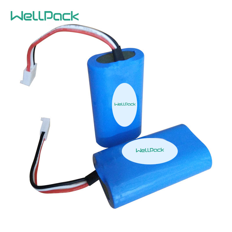 Medical portable Lithium Battery