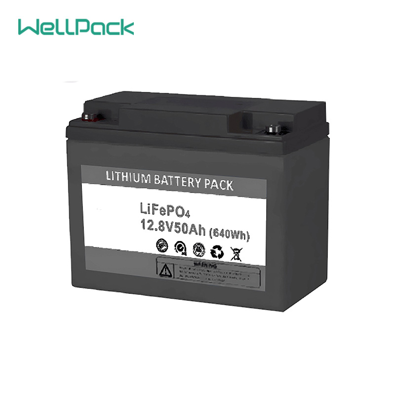 12V50Ah LiFePO4 Battery