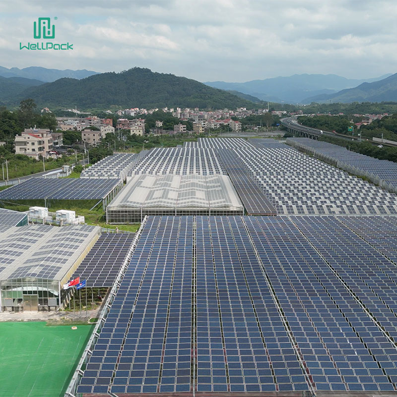 Join us in Tourism-Photovoltaic Farm to explore new energy and zero-carbon agriculture solutions