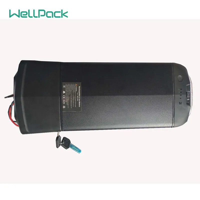 lithium electric bike battery