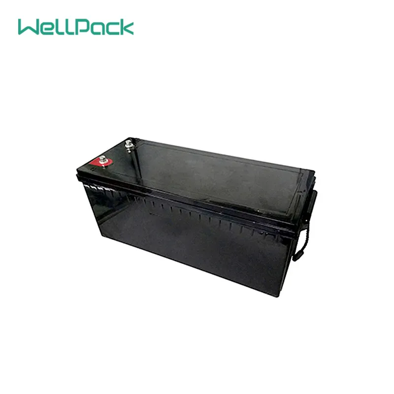 LiFePO4 Battery