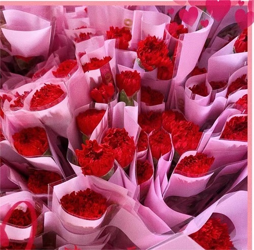 Celebraciones del Día Internacional de la Mujer -8 de marzo