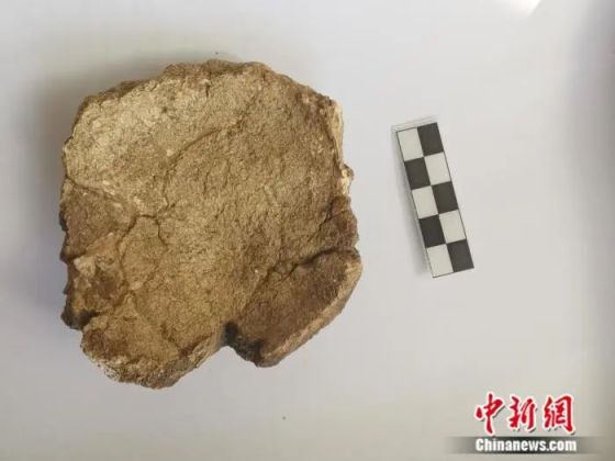 周口店で50年ぶりの発見!