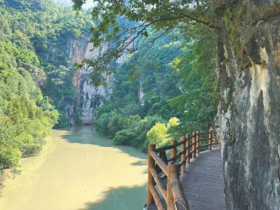 Life丨Un voyage naturellement enrichissant