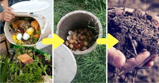 Un directeur d'usine à la retraite utilise des tuyaux en PVC d'une manière unique pour transformer les déchets de cuisine en fumier !