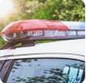 Hund möglicherweise durch PVC-Rohr in Brownsville getötet, Ermittlungen laufen