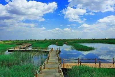 中国国際湿地都市が増加