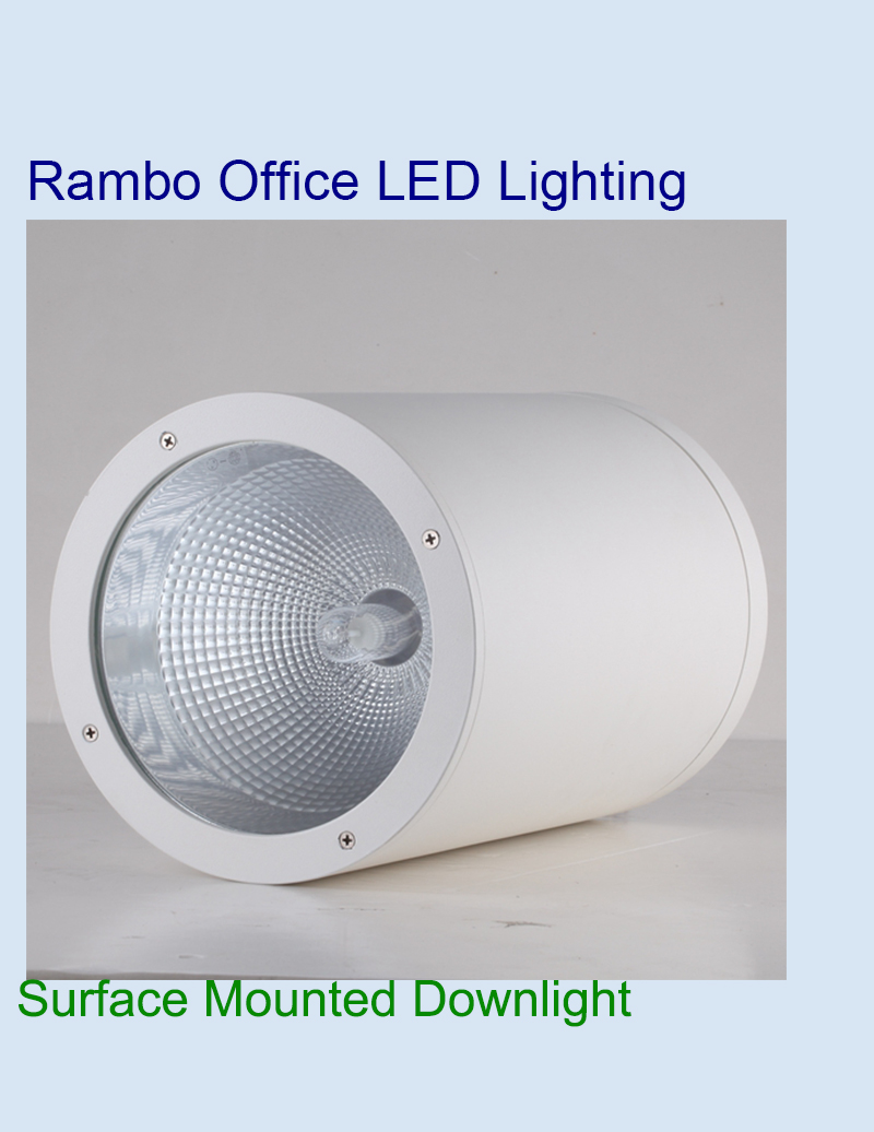 Comprar Downlight empotrado montado en superficie, Downlight empotrado montado en superficie Precios, Downlight empotrado montado en superficie Marcas, Downlight empotrado montado en superficie Fabricante, Downlight empotrado montado en superficie Citas, Downlight empotrado montado en superficie Empresa.