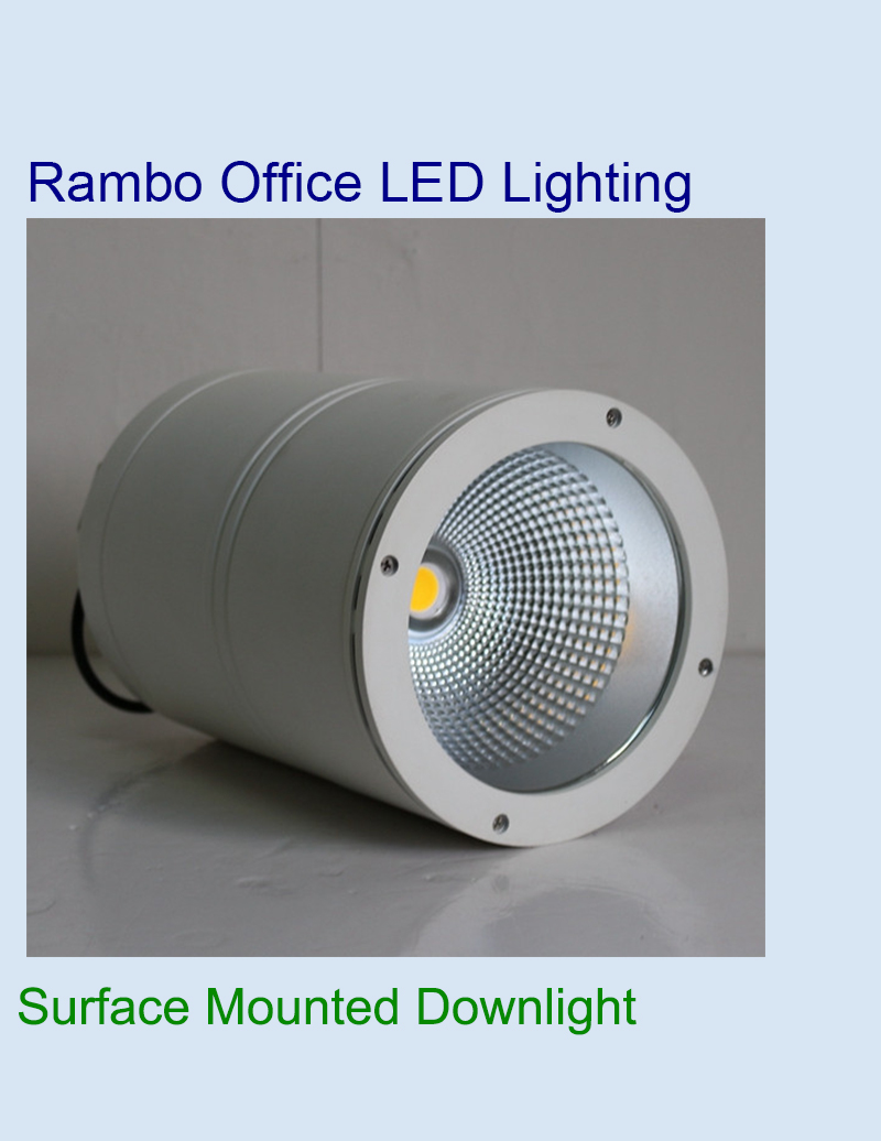 Acheter Downlight encastré monté en surface,Downlight encastré monté en surface Prix,Downlight encastré monté en surface Marques,Downlight encastré monté en surface Fabricant,Downlight encastré monté en surface Quotes,Downlight encastré monté en surface Société,