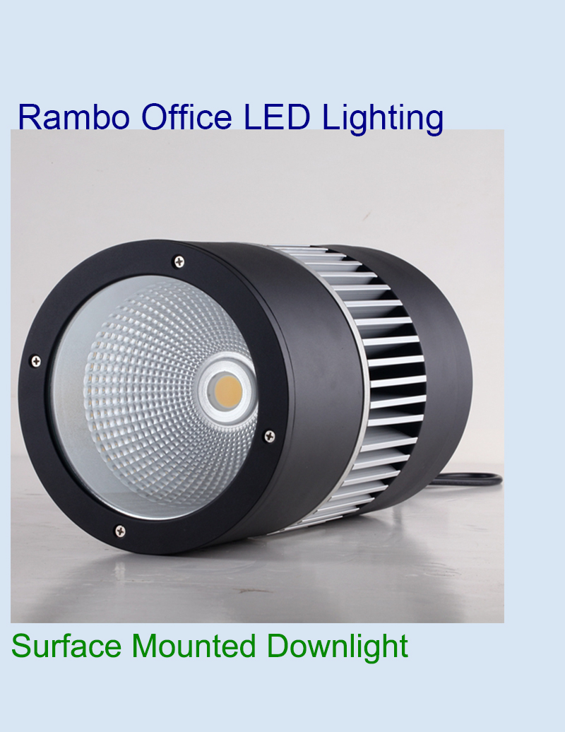 Surface Recessed Downlight