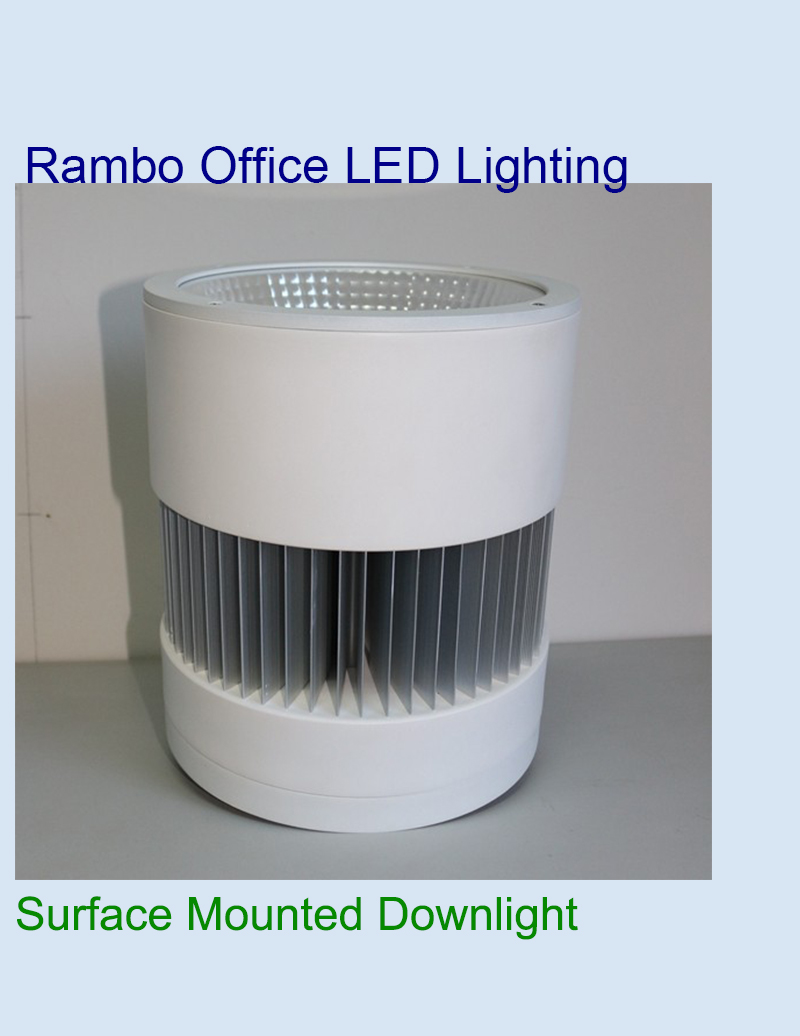 Surface Recessed Downlight