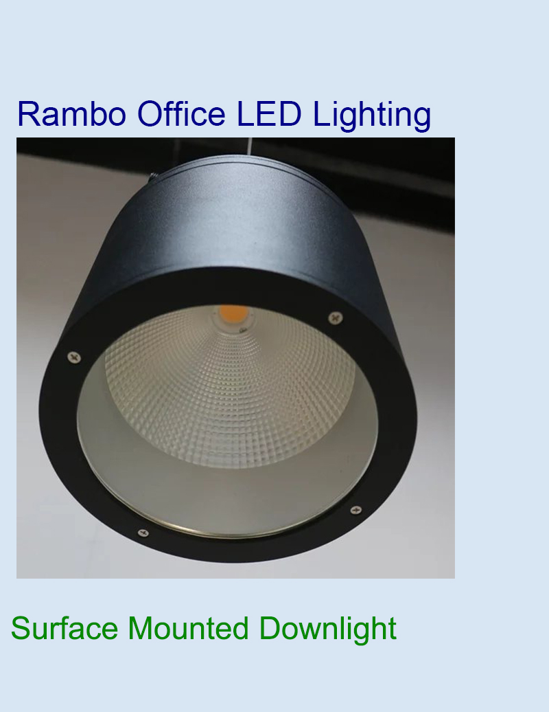 Comprar Downlight de exterior de gran tamaño, Downlight de exterior de gran tamaño Precios, Downlight de exterior de gran tamaño Marcas, Downlight de exterior de gran tamaño Fabricante, Downlight de exterior de gran tamaño Citas, Downlight de exterior de gran tamaño Empresa.