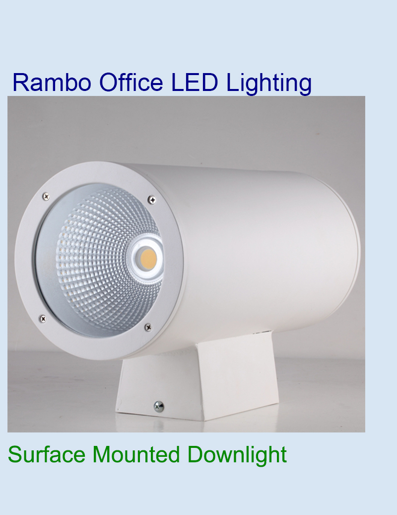 Cumpărați Downlight montat pe perete cu flexibilitate ridicată,Downlight montat pe perete cu flexibilitate ridicată Preț,Downlight montat pe perete cu flexibilitate ridicată Marci,Downlight montat pe perete cu flexibilitate ridicată Producător,Downlight montat pe perete cu flexibilitate ridicată Citate,Downlight montat pe perete cu flexibilitate ridicată Companie