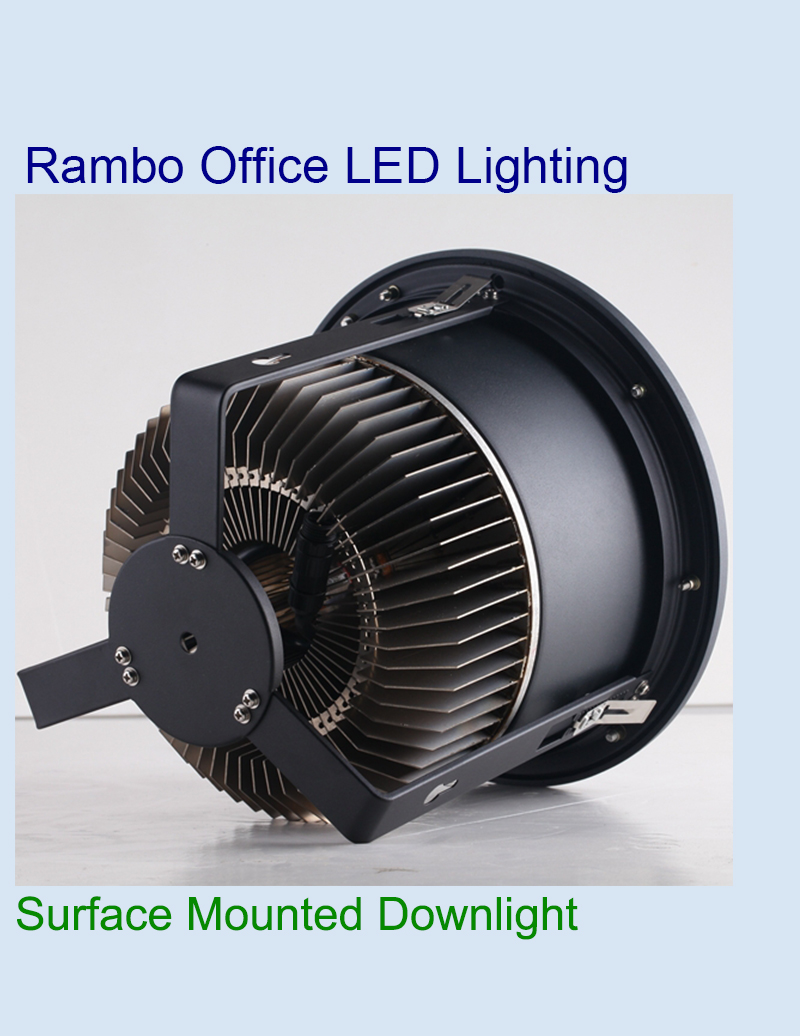 Ceiling Mounted Recessed Downlight