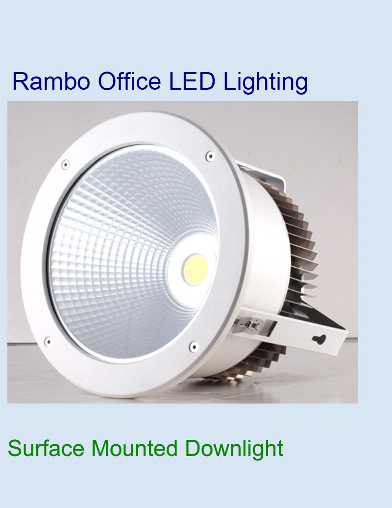 Ceiling Mounted Recessed Downlight