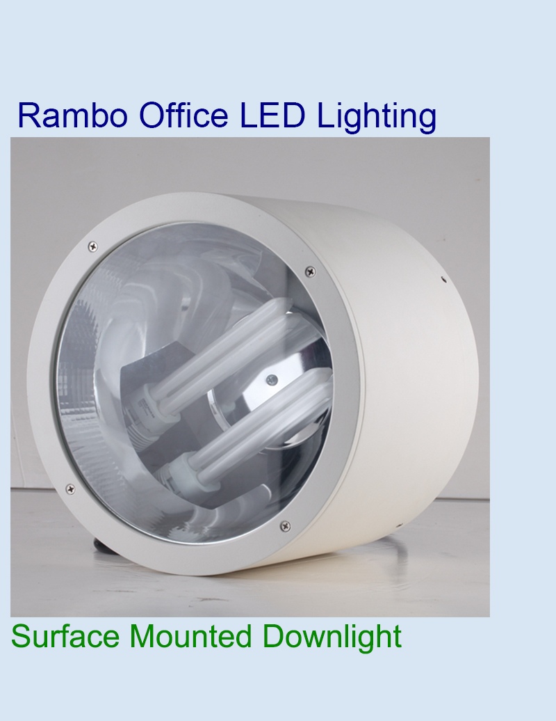 G24Q big diameter Downlight