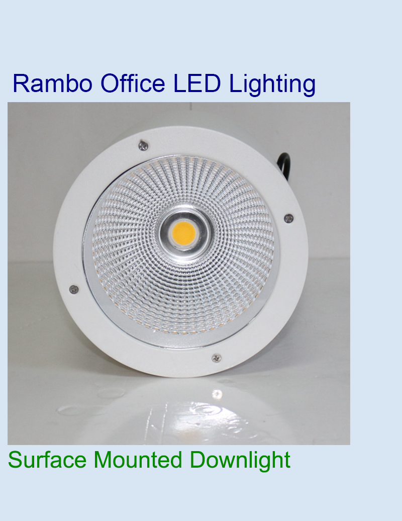 G12 High lumen Downlight