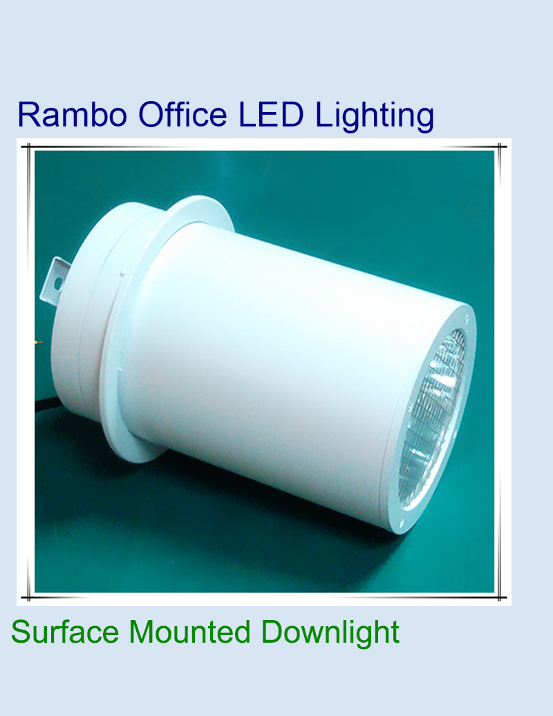 Acquista Downlight a LED montato su superficie,Downlight a LED montato su superficie prezzi,Downlight a LED montato su superficie marche,Downlight a LED montato su superficie Produttori,Downlight a LED montato su superficie Citazioni,Downlight a LED montato su superficie  l'azienda,