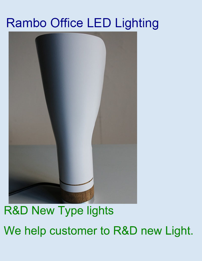 OEM & ODM new type LED light fixture