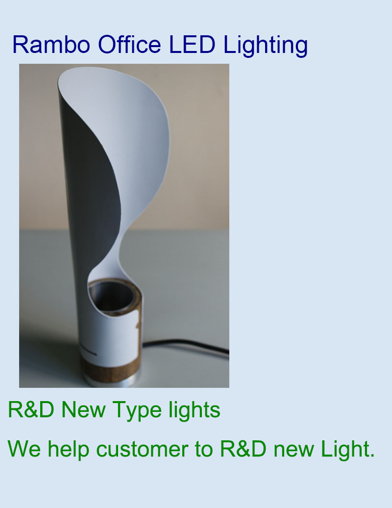 OEM & ODM new type LED light fixture