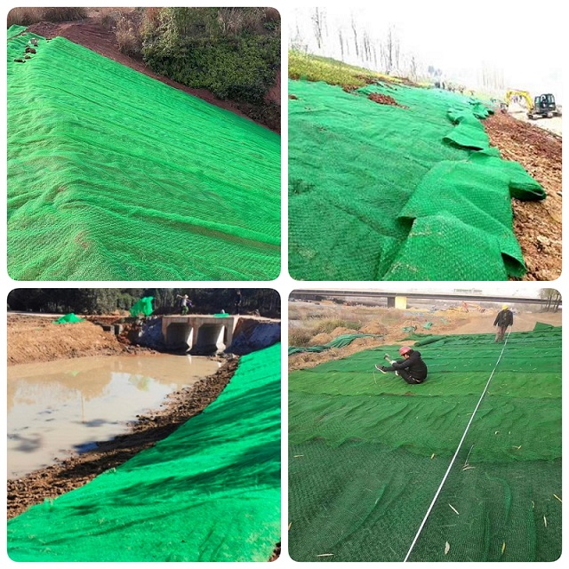 Grass Protect Plastic Drainage 3D Geomat Erosion Control Mat