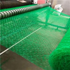 Grass Protect Plastic Drainage 3D Geomat Erosion Control Mat