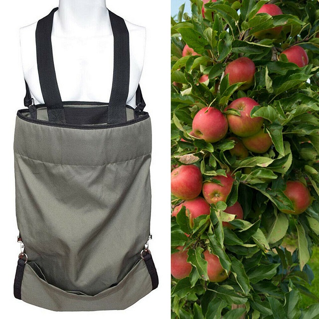 Овощной сбор, яблоки, ягоды, садовый инструмент, фартук, сумка для сбора фруктов