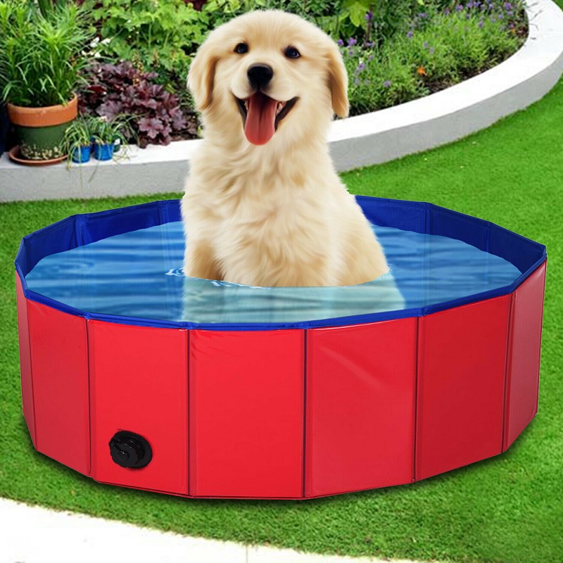 Dog Padding Pool