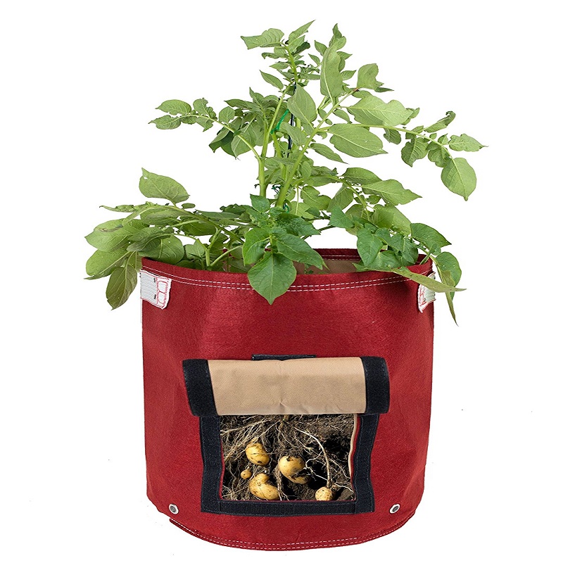 Garden Tomato Vegatable Potato Felt Planting Bag Grow Conatiners