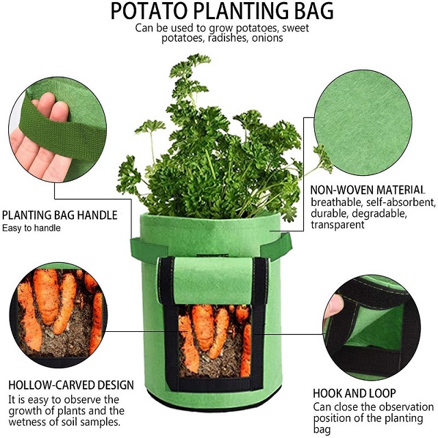 Vegetable Grow Bag
