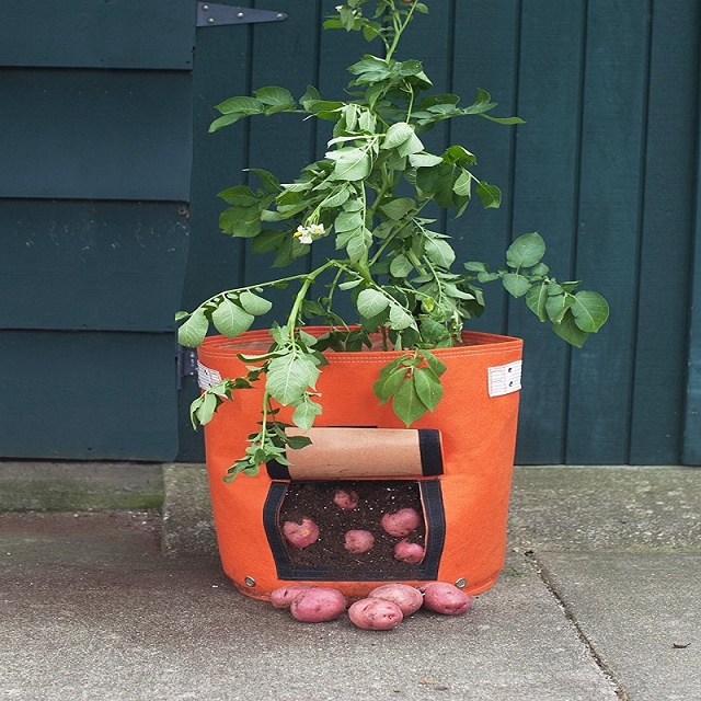 Vegetable Grow Bag