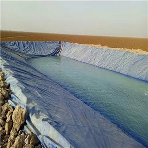 Geomembrane Lake Liner Farm Fish Pond e Dam Liner