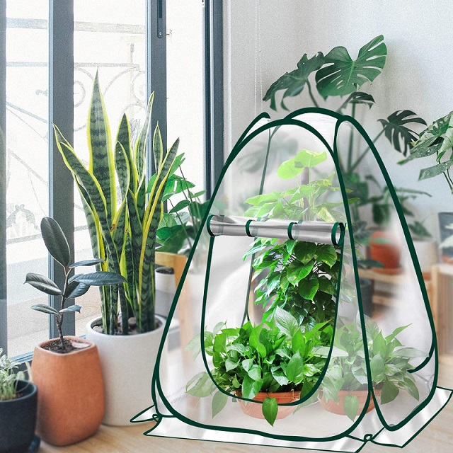 Plant Tent